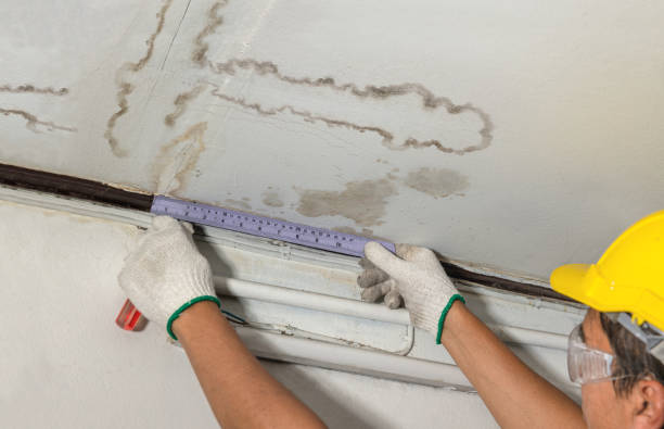 Reliable Water Damage Repair contractor in Shelton, NE by Hirex Water Damage